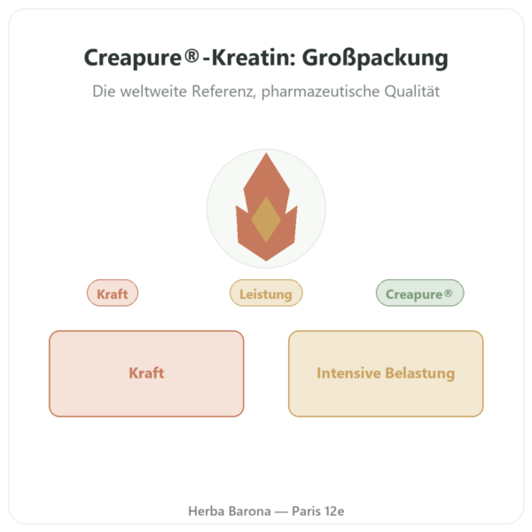 Kreatin-Monohydrat Creapure® Pulver 1 kg – Dynveo Vorstellung Paris Herba Barona