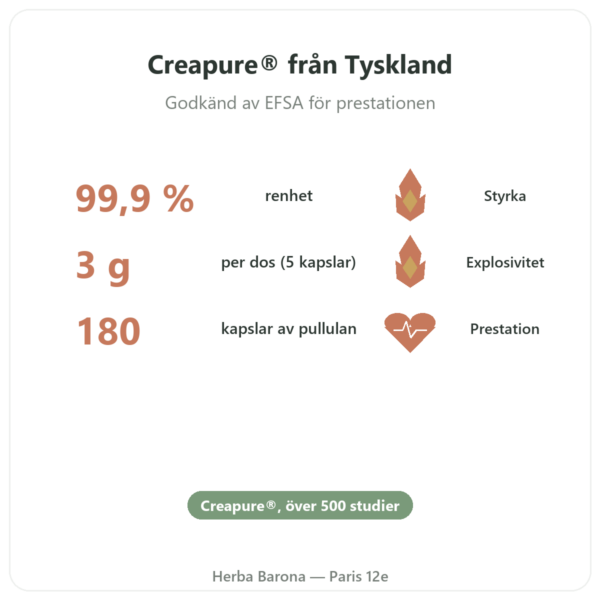 Kreatinmonohydrat Creapure® – Dynveo – 180 kapslar fördelar och nyckelfakta Paris Herba Barona