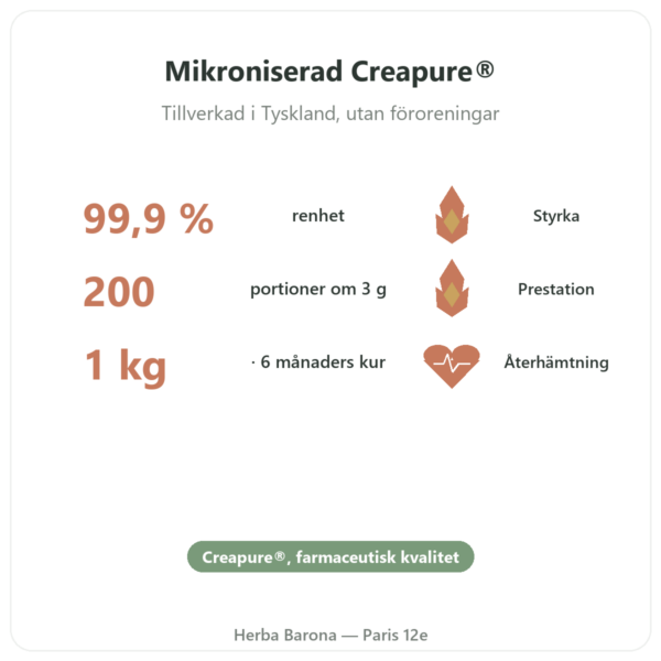 Kreatinmonohydrat Creapure® Pulver 1 kg – Dynveo fördelar och nyckelfakta Paris Herba Barona