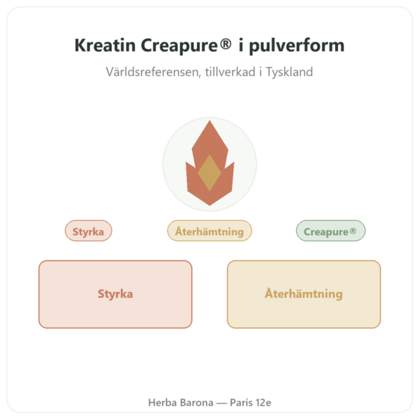 Kreatinmonohydrat Creapure® pulver – Dynveo – 250 g presentation Paris Herba Barona