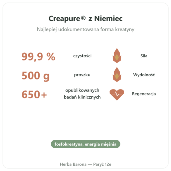 Kreatyna Monohydrat Creapure® 500 g – Nutrend korzyści i najważniejsze fakty Paris Herba Barona