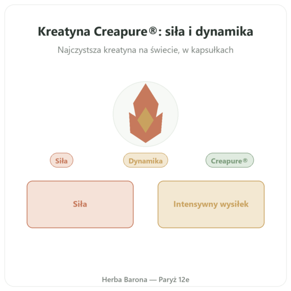 Kreatyna monohydrat Creapure(R) - Dynveo - 180 kapsulek prezentacja Paris Herba Barona