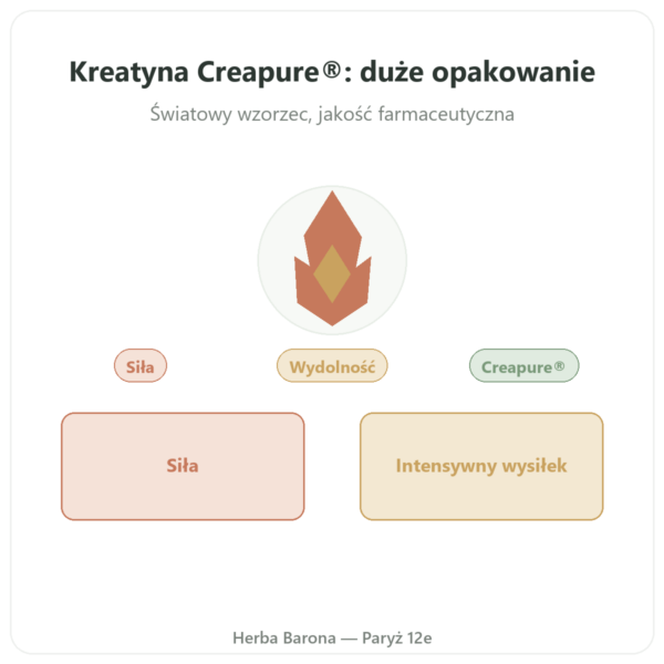 Kreatyna monohydrat Creapure® w proszku 1 kg – Dynveo prezentacja Paris Herba Barona