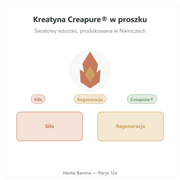 Kreatyna monohydrat Creapure® proszek – dynveo – 250 g prezentacja Paris Herba Barona