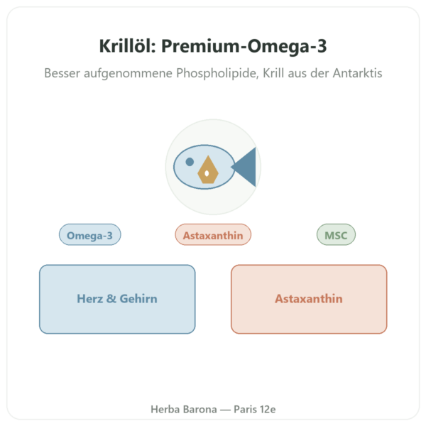 Krillöl Superba Boost™ – Dynveo – 60 Kapseln Vorstellung Paris Herba Barona