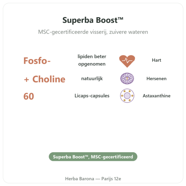 Krillolie Puur Superba Boost™ 60 capsules – DYNVEO voordelen en kerngegevens Paris Herba Barona