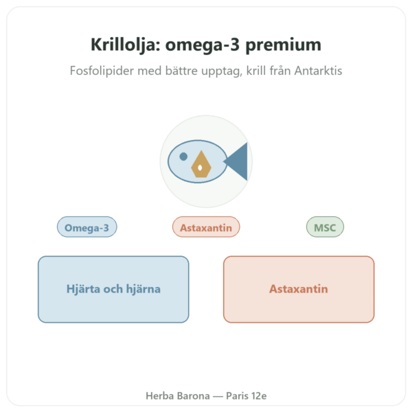 Krillolja Superba Boost™ 60 kapslar DYNVEO presentation Paris Herba Barona