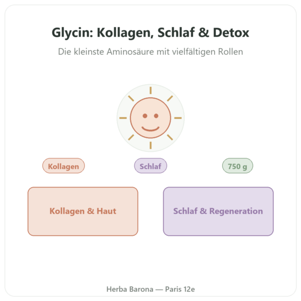Kristalline Glycin-Pulver – 750 g – Nutrimuscle Vorstellung Paris Herba Barona