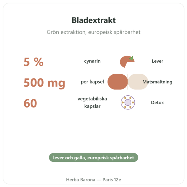 Kronärtskocka 500 mg (5 % cynarin) 60 kapslar Dynveo fördelar och nyckelfakta Paris Herba Barona