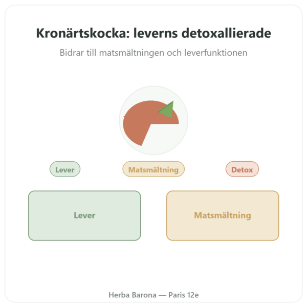 Kronärtskocka 500 mg (5 % cynarin) 60 kapslar Dynveo presentation Paris Herba Barona