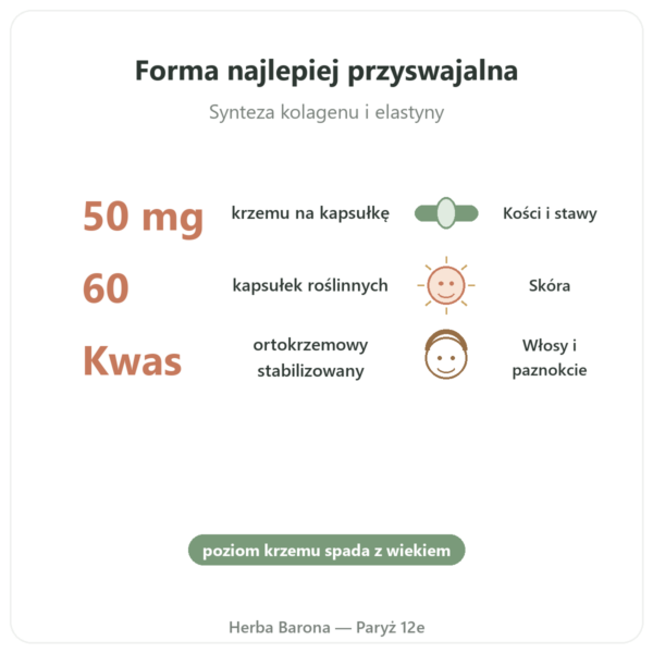 Krzem Organiczny Ortogeniczny 50 mg – 60 kapsułek korzyści i najważniejsze fakty Paris Herba Barona