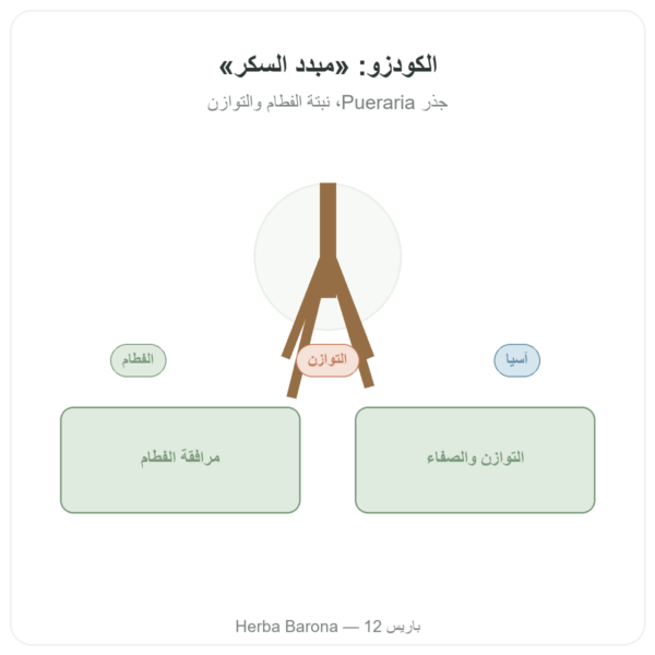 كودزو جذر – Qualidiet – 200 قرص عرض المنتج Paris Herba Barona
