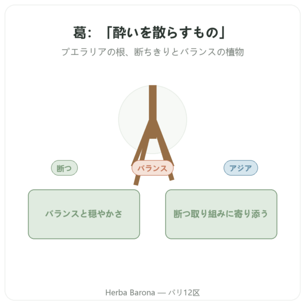 クズ根 – Qualidiet – 200錠 presentation Paris Herba Barona