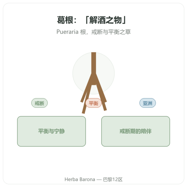 葛根 – Qualidiet – 200片装 产品展示 Paris Herba Barona