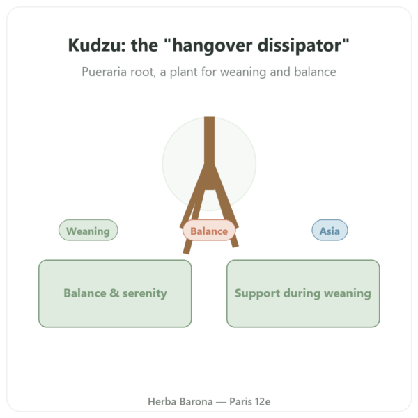 Kudzu Root – Qualidiet – 200 tablets presentation Paris Herba Barona