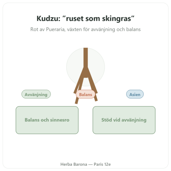 Kudzu Rot – Qualidiet – 200 tabletter presentation Paris Herba Barona