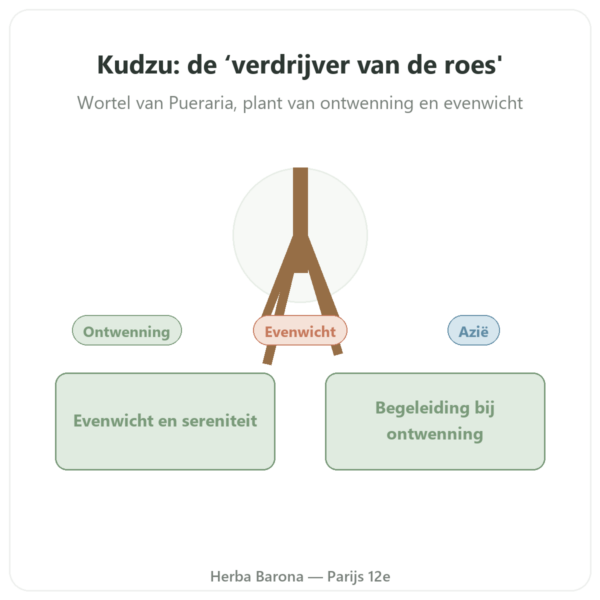 Kudzu Wortel - Qualidiet - 200 tabletten presentatie Paris Herba Barona