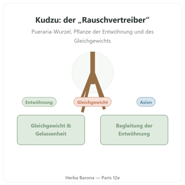 Kudzu-Wurzel – Qualidiet – 200 Tabletten Vorstellung Paris Herba Barona