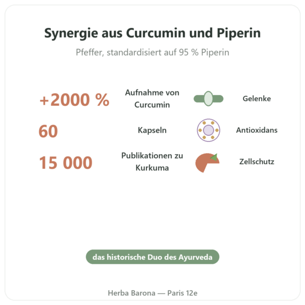 Kurkuma Pfeffer – Ayur-vana – 60 Kapseln Vorteile und Fakten Paris Herba Barona