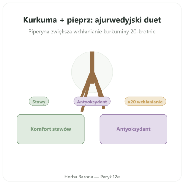 Kurkuma Pieprz – Ayur-vana – 60 kapsułek prezentacja Paris Herba Barona