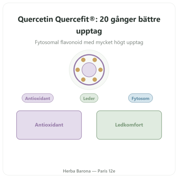 Kvercetin Optimerad Quercefit Dynveo 60 Kapslar presentation Paris Herba Barona