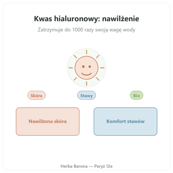 Bio kwas hialuronowy Dynveo 60 kapsułek prezentacja Paris Herba Barona