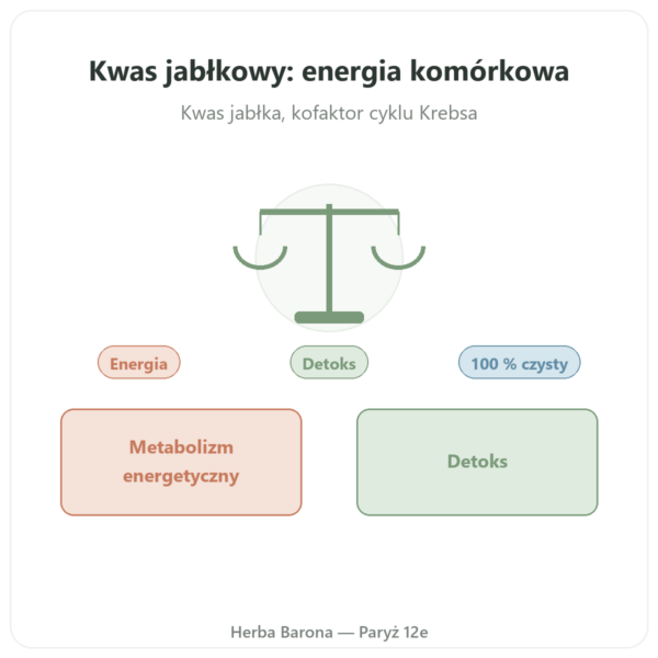 Kwas jabłkowy w proszku 500 g Nature et Partage prezentacja Paris Herba Barona