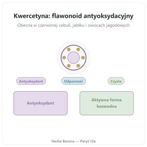 Kwercetyna 500 mg 60 kapsułek DYNVEO prezentacja Paris Herba Barona