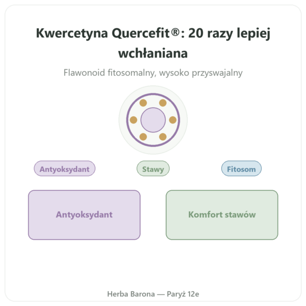 Kwercetyna Optymalizowana Quercefit Dynveo 60 kapsułek prezentacja Paris Herba Barona