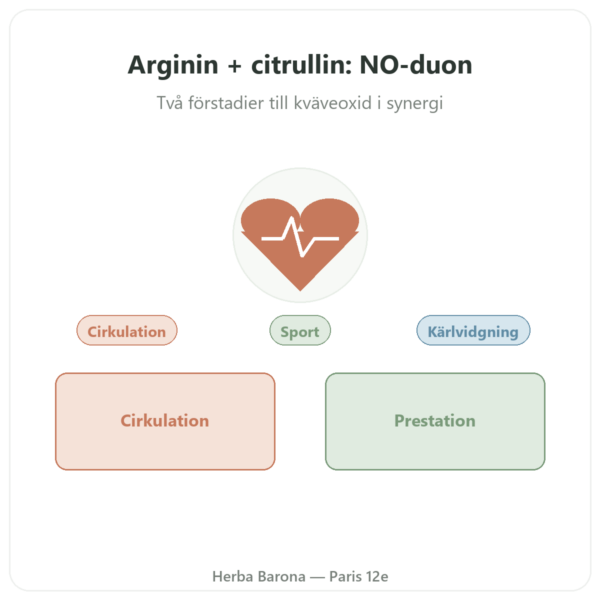 L-Arginin & L-Citrullin 500/250 mg – NOW Foods – 120 vegetabiliska kapslar presentation Paris Herba Barona