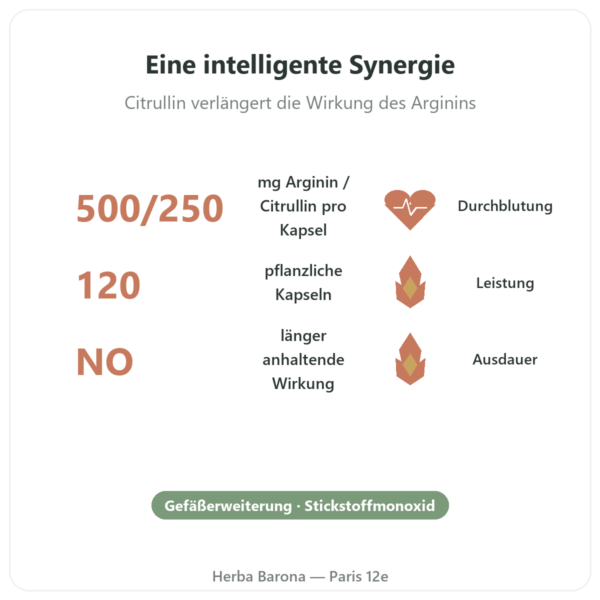 L-Arginin & L-Citrullin 500/250 mg – Now Foods – 120 pflanzliche Kapseln Vorteile und Fakten Paris Herba Barona