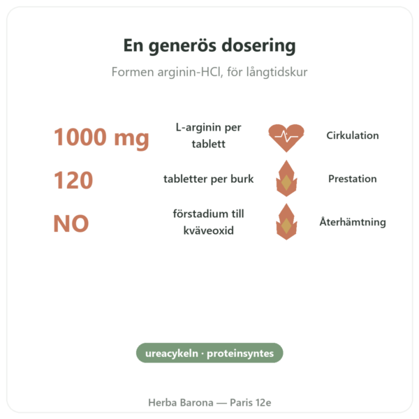 Arginin – 1 000 mg – Now Foods – 120 tabletter fördelar och nyckelfakta Paris Herba Barona