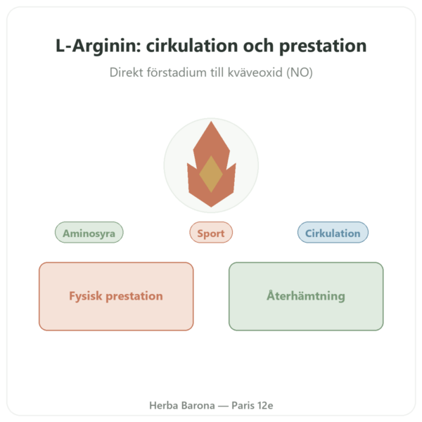 Arginin – 1 000 mg – Now Foods – 120 tabletter presentation Paris Herba Barona