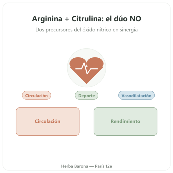 L-Arginina y L-Citrulina 500/250 mg – NOW Foods – 120 Cápsulas Vegetales presentación Paris Herba Barona