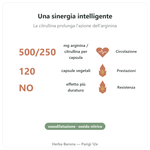 L-Arginina & L-Citrullina 500/250 mg – NOW Foods – 120 Capsule Vegetali benefici e dati chiave Paris Herba Barona