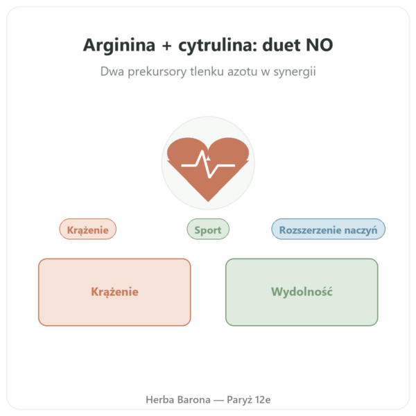 L-Arginina i L-Cytrulina 500/250 mg – NOW Foods – 120 kapsułek roślinnych prezentacja Paris Herba Barona