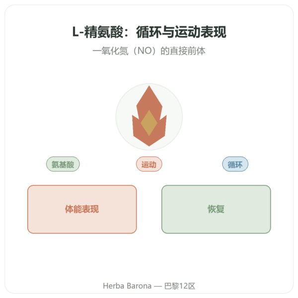 精氨酸 – 1 000 mg – Now foods – 120片 产品展示 Paris Herba Barona