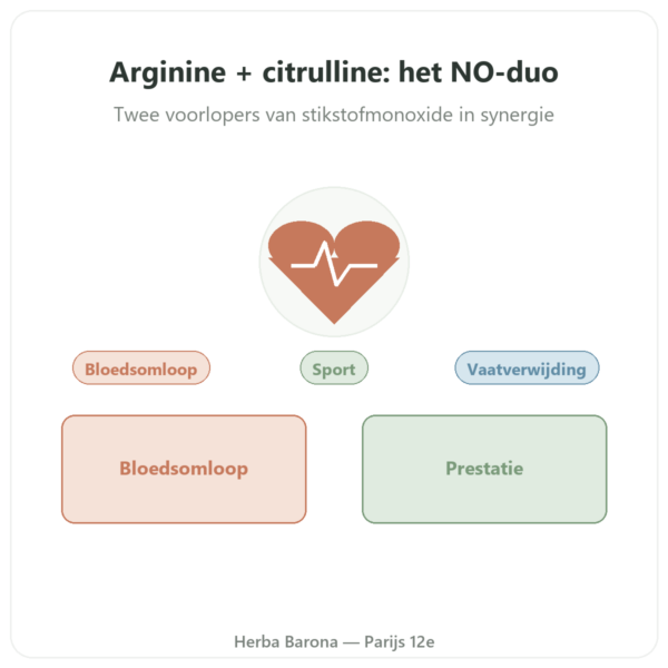 L-Arginine & L-Citrulline 500/250 mg – NOW Foods – 120 plantaardige capsules presentatie Paris Herba Barona