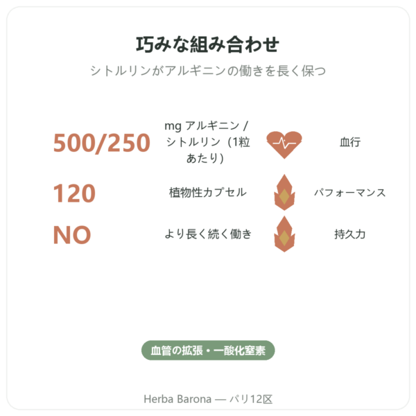L-アルギニン & L-シトルリン 500/250 mg – NOW Foods – 植物性カプセル120粒 benefits and key facts Paris Herba Barona