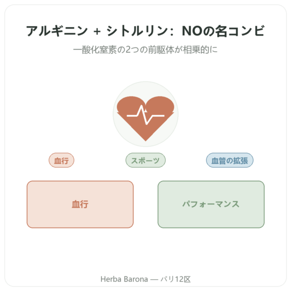 L-アルギニン & L-シトルリン 500/250 mg – NOW Foods – 植物性カプセル120粒 presentation Paris Herba Barona