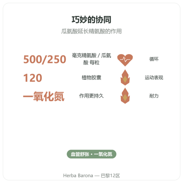 L-精氨酸 & L-瓜氨酸 500/250毫克 – NOW Foods – 120粒植物胶囊 功效与数据 Paris Herba Barona