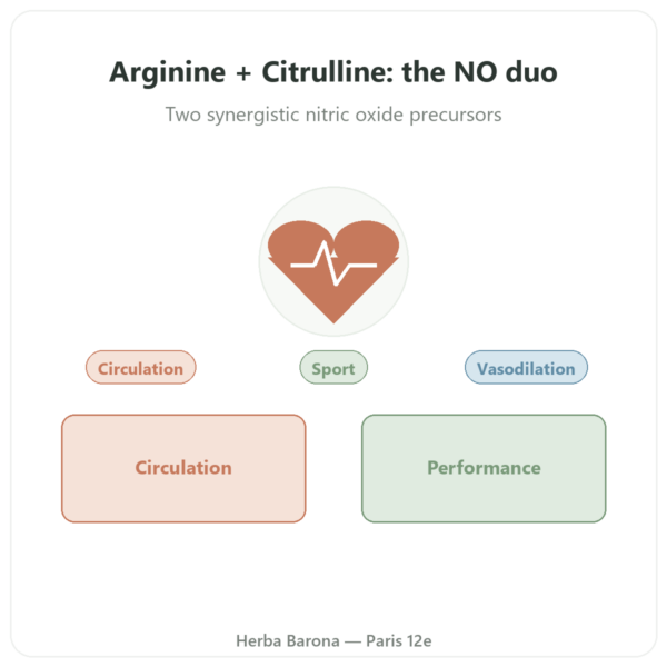 L-Arginine & L-Citrulline 500/250 mg – Now Foods – 120 Vegetable Capsules presentation Paris Herba Barona