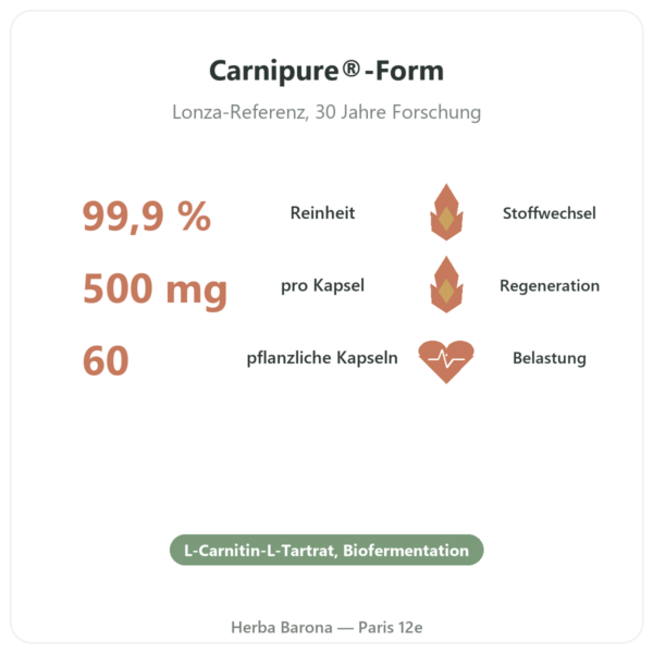 L-Carnitin Carnipure® – Dynveo – 500 mg – 60 Kapseln Vorteile und Fakten Paris Herba Barona