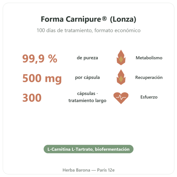 L-Carnitina Dynveo (tartrato) Carnipure® – 500mg / 300 cápsulas beneficios y datos clave Paris Herba Barona