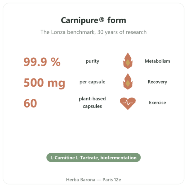 L-Carnitine Carnipure 500 mg - Dynveo - 60 Capsules benefits and key facts Paris Herba Barona