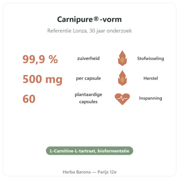 Carnitine (tartraat) Carnipure® – 500mg / 60 capsules Dynveo voordelen en kerngegevens Paris Herba Barona