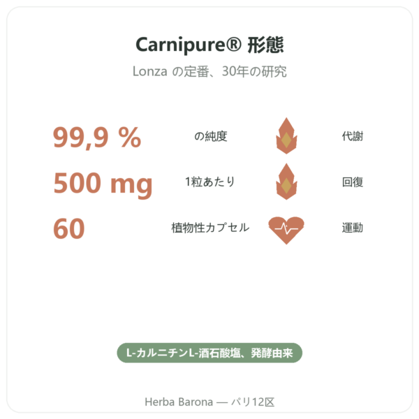カルニチン(酒石酸塩)Carnipure® – 500mg / 60カプセル Dynveo benefits and key facts Paris Herba Barona