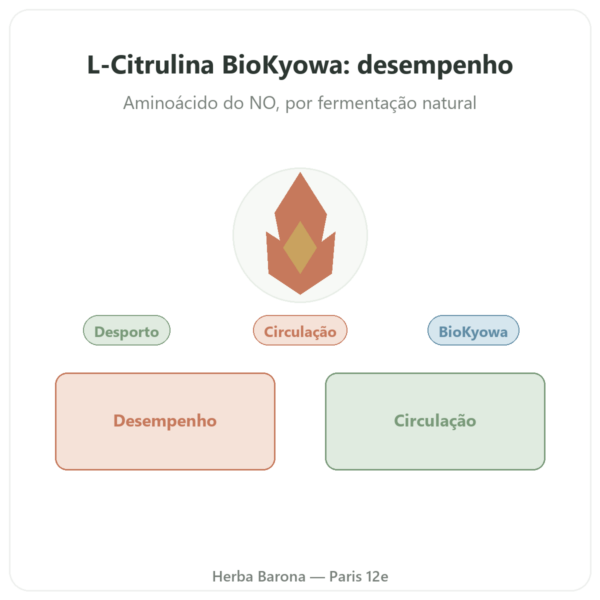 L-Citrulina em pó BioKyowa – Nutrimuscle – 500 g apresentação Paris Herba Barona