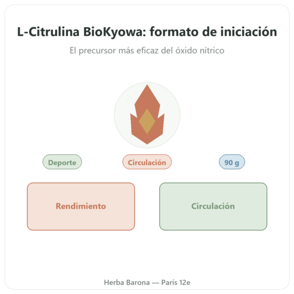 L-Citrulina en Polvo BioKyowa – 90 g – Nutrimuscle presentación Paris Herba Barona