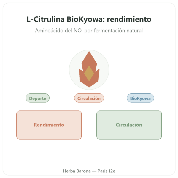 L-Citrulina en Polvo BioKyowa – Nutrimuscle – 500 g presentación Paris Herba Barona
